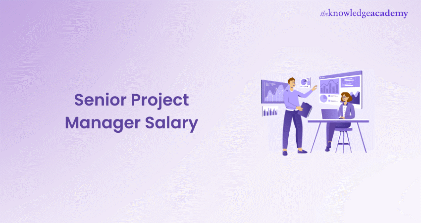 Senior Project Manager Salary