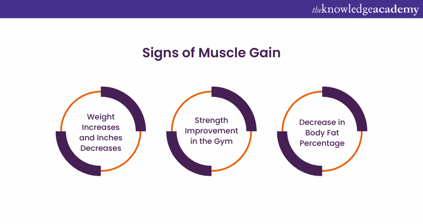 Signs of Muscle gain