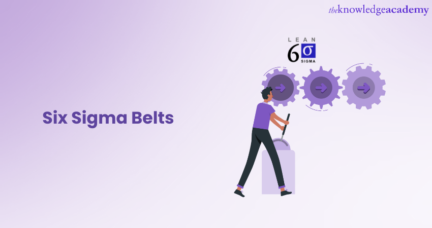 Six Sigma Belts