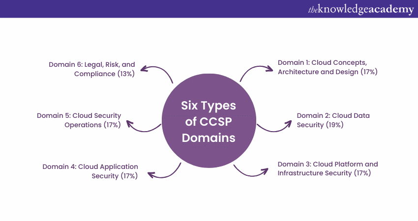 Six Types of CCSP Domains