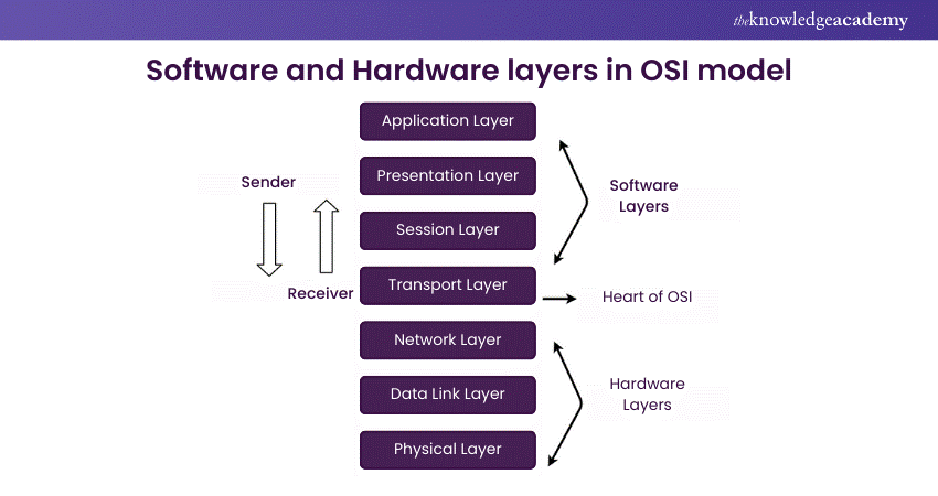 Software and Hardware Layers in OSI Model