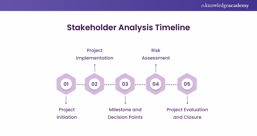 Stakeholder Analysis Timeline