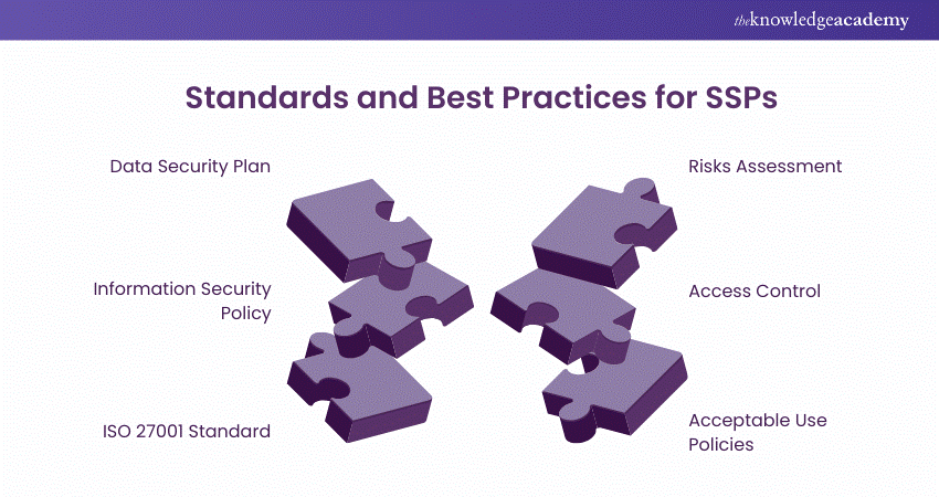 Standards and Best Practices for SSPs