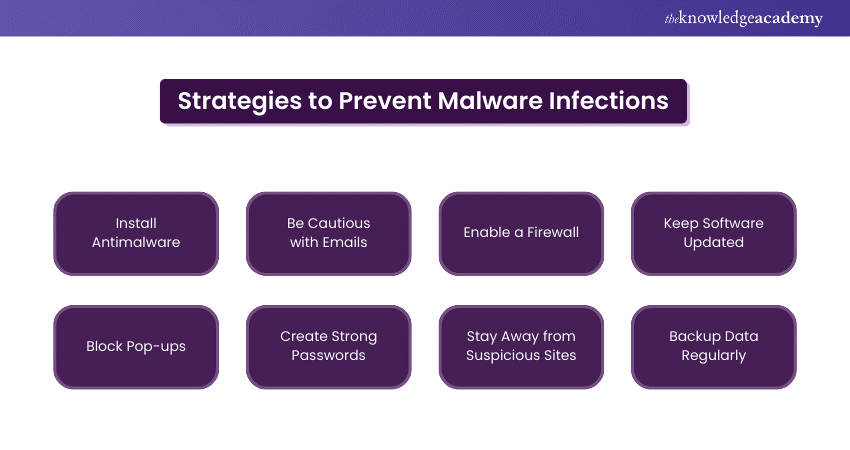 Strategies to Prevent Malware Infections  