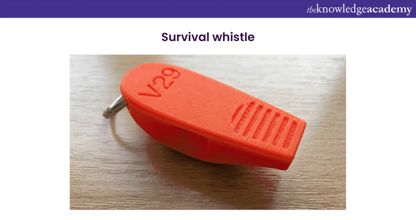 Survival whistle