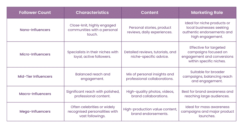 Table for Influencer Characteristics by Follower Count