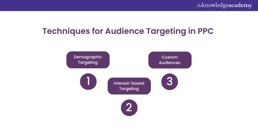 Techniques for Audience Targeting in PPC