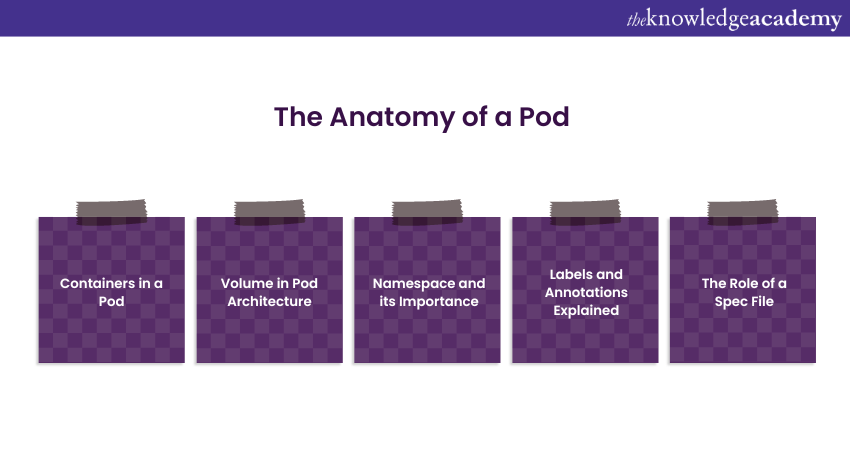 The Anatomy of a Pod