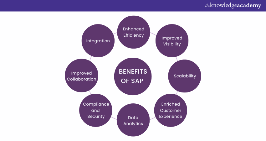 The Benefits of SAP