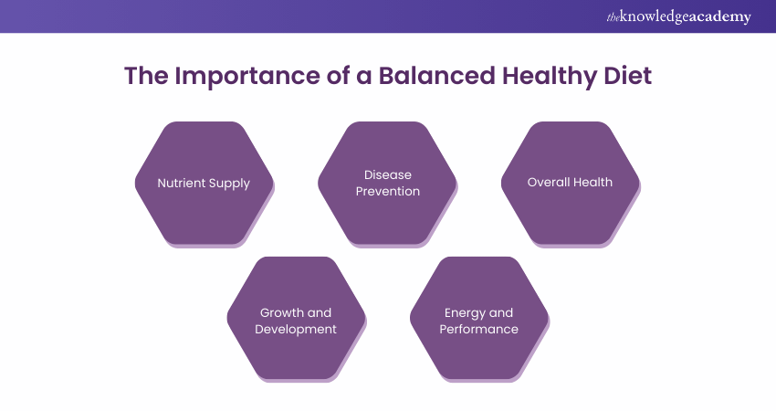 The Importance of a Balanced Healthy Diet