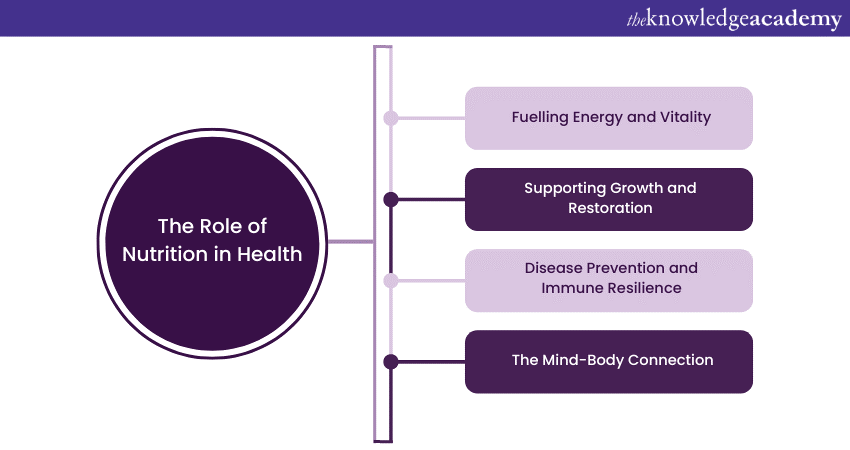 The Role of Nutrition in Health