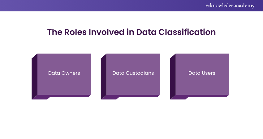 The Roles Involved in Data Classification