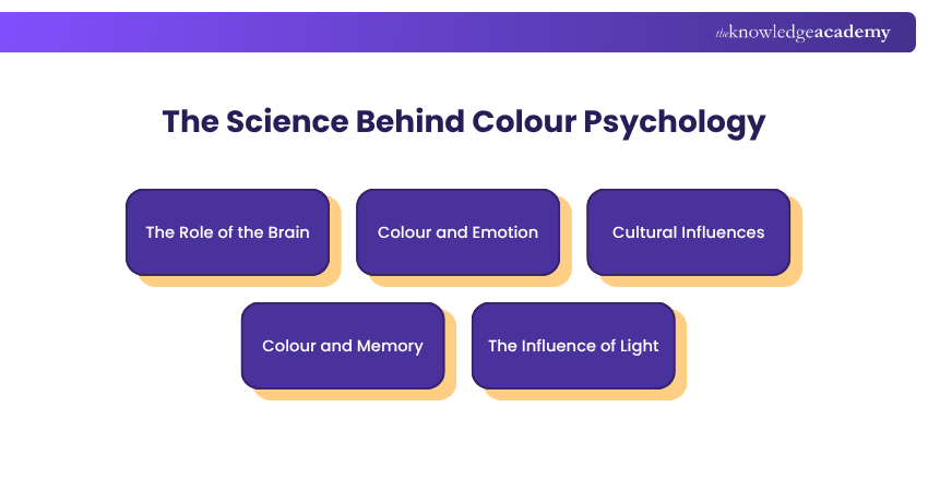 The Science Behind Colour Psychology The Science Behind Colour Psychology