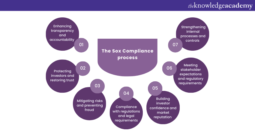 The Sox Compliance process   