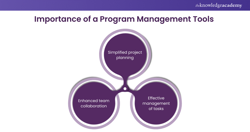 The importance of a Program Management Tool