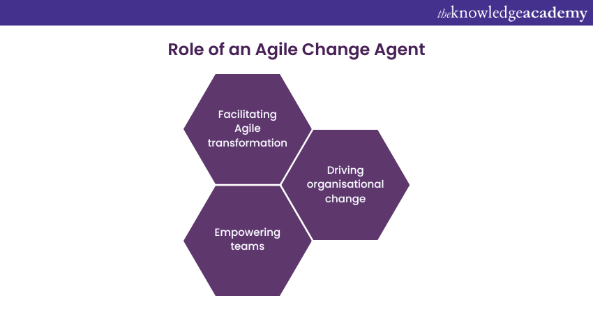 The role of an Agile Change Agent