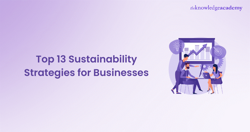 Top 13 Sustainability Strategies for Businesses