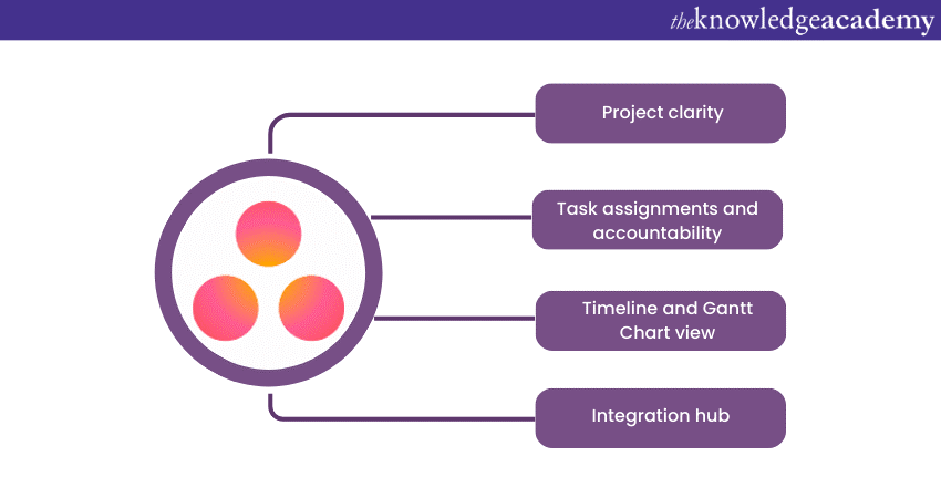 Top 15 Product Management Tools: Asana