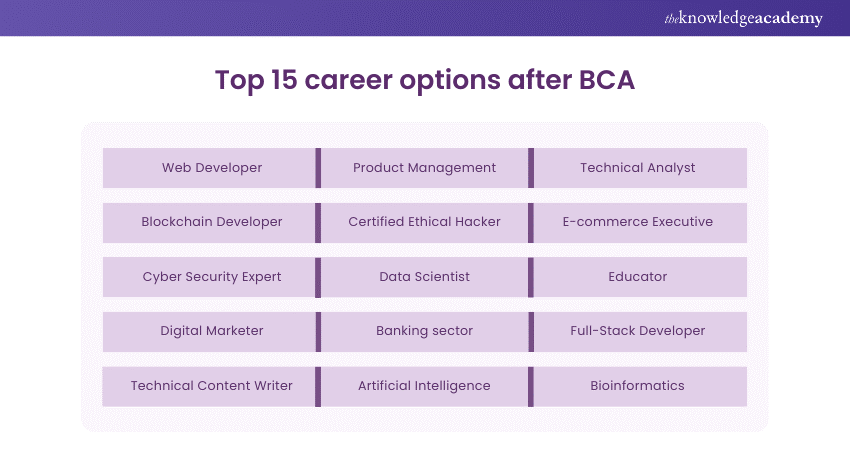 Top 15 career options after BCA