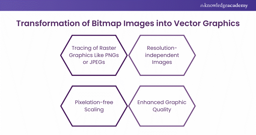 Transform bitmap images into vector graphics