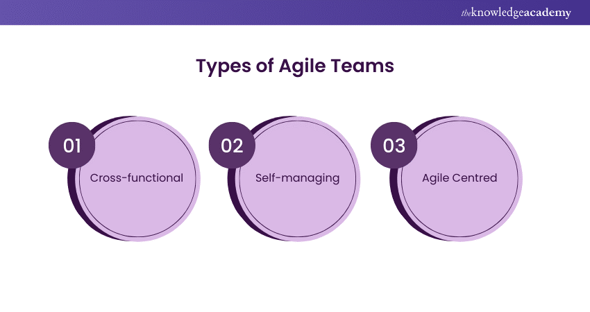 Types of Agile Teams