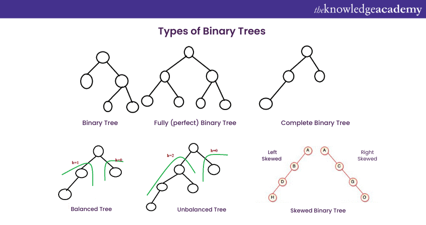 Types of Binary Trees