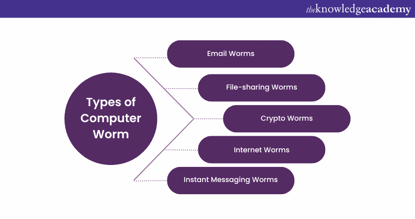 Types of Computer Worms  