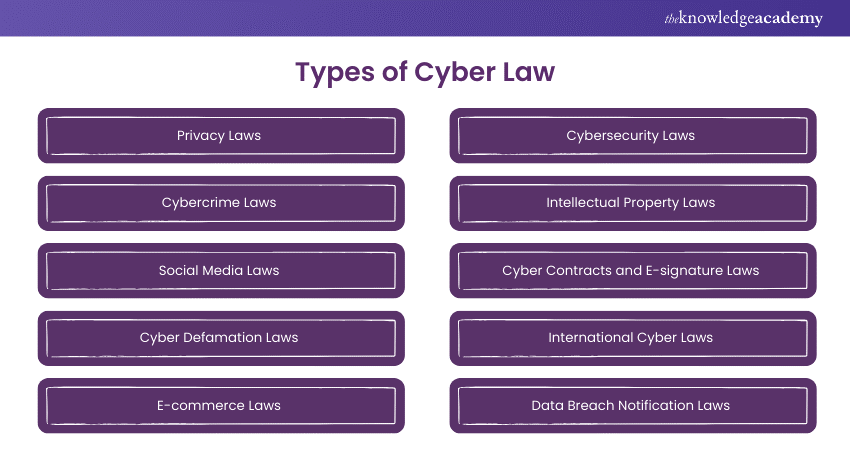 Types of Cyber Law 