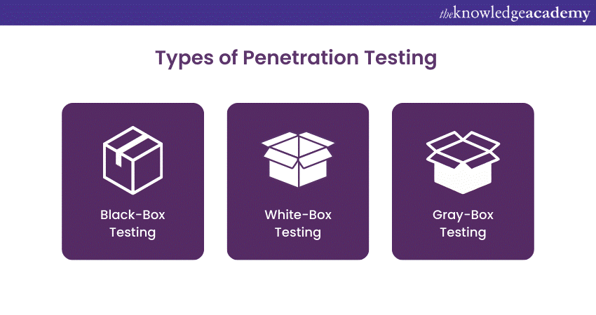 Types of Penetration Testing