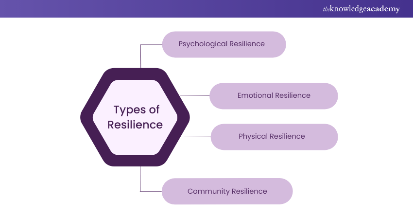 Types of Resilience