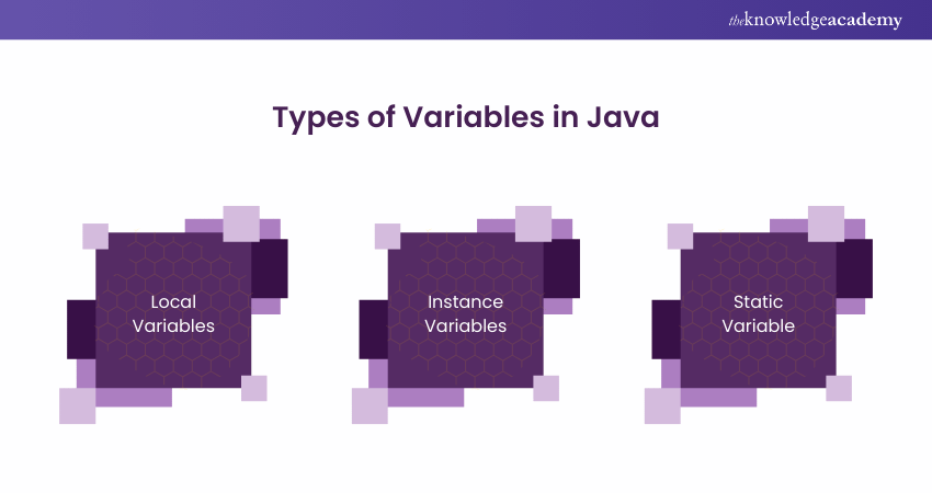 Types of Variables in Java