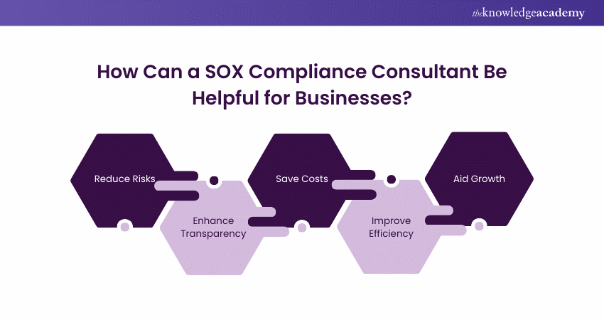 Understanding SOX Consultant Role in Businesses