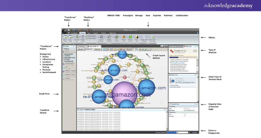 User Interface of Maltego