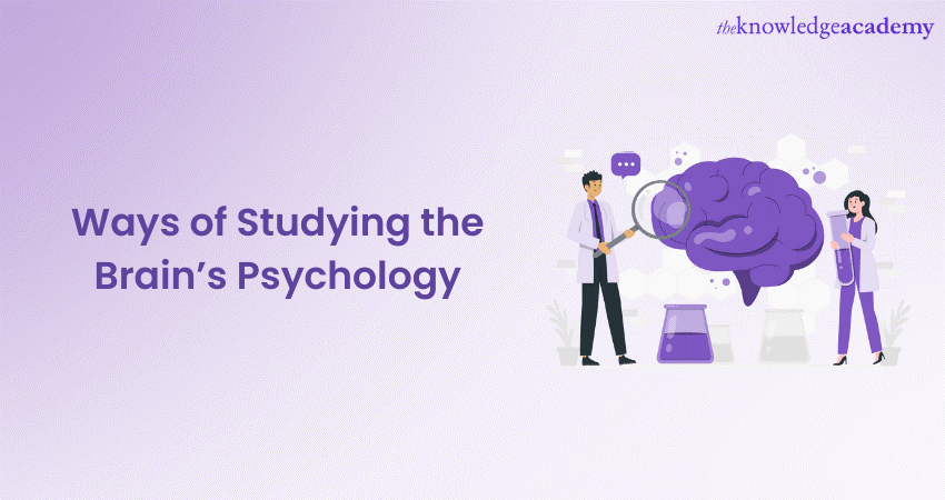 Ways of Studying the Brain Psychology