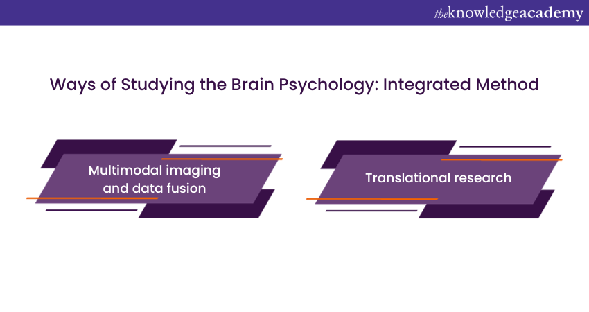 Ways of Studying the Brain Psychology: Integrated Method