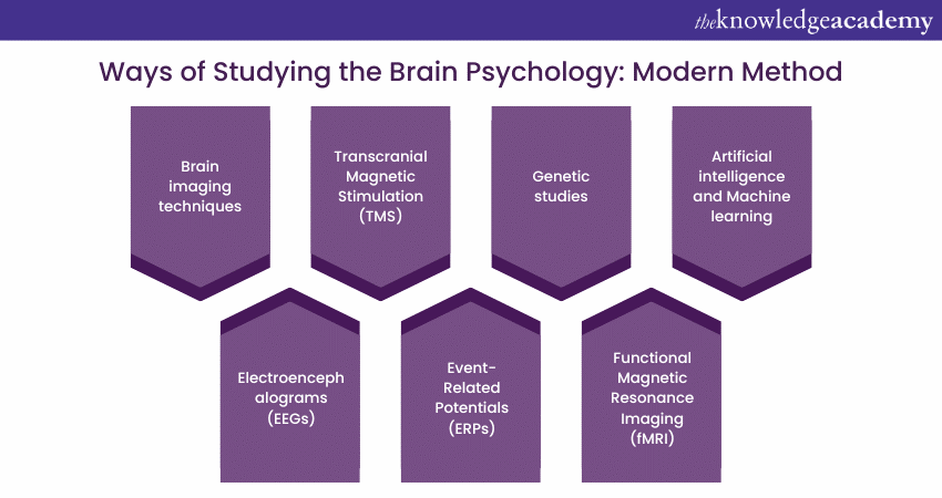 Ways Of Studying The Brain Psychology: Across The World In 2023