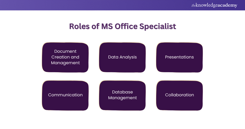What Does MS Office Specialist Do
