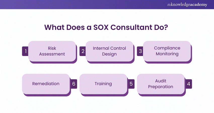 What Does a SOX Consultant Do