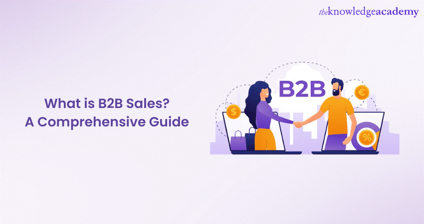 What Is B2B Sales?: Introduction, Process, Strategy, & Examples