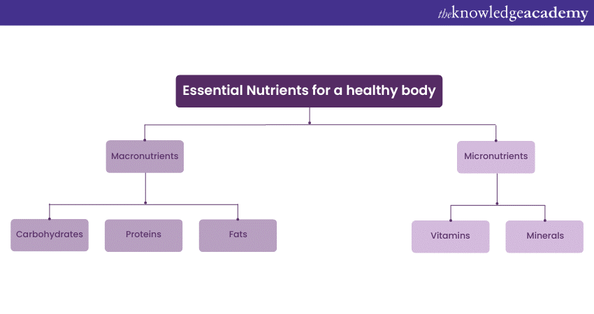 What Is Nutritional Deficiency: Explained