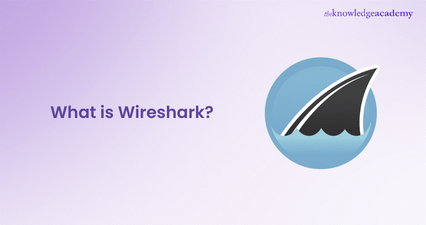 What Is Wireshark