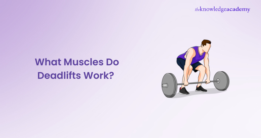 What Muscles Do Deadlifts Work? Unveiling the Deadlift