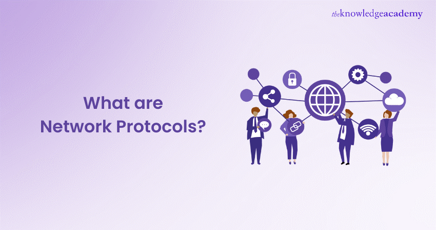 What are Network Protocols