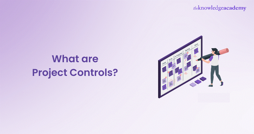 What are Project Controls?