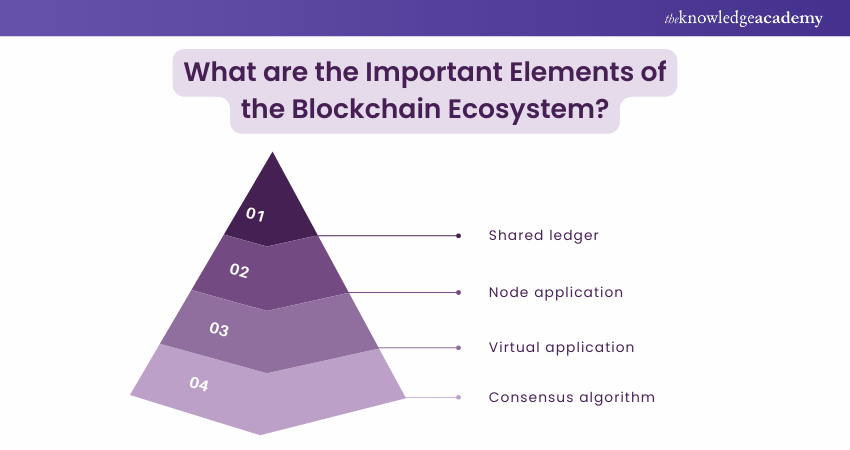 What are the Important Elements of the Blockchain Ecosystem?    