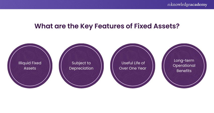 What are the Key Features of Fixed Assets