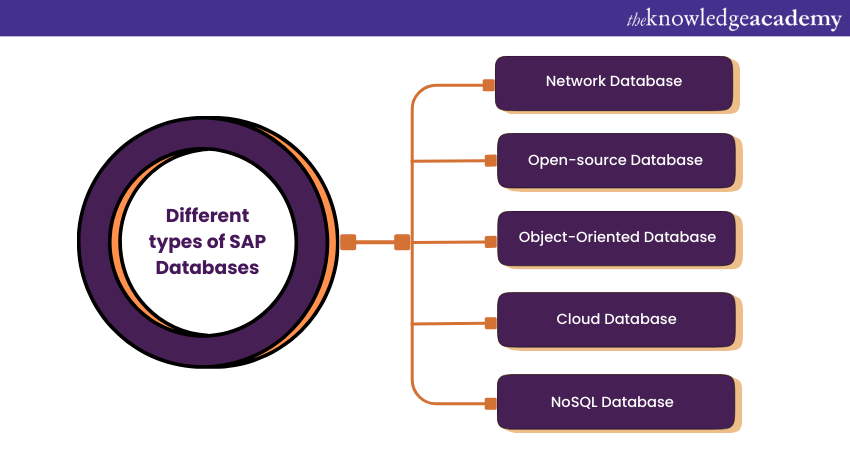 What are the different types of SAP Databases