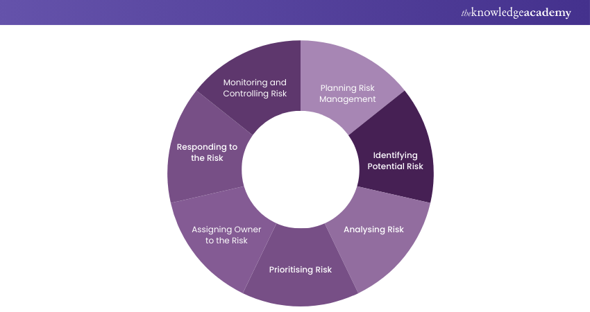 Seven elements of Risk Management Process