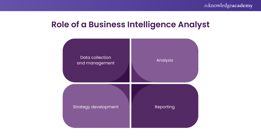 What does a Business Intelligence Analyst do