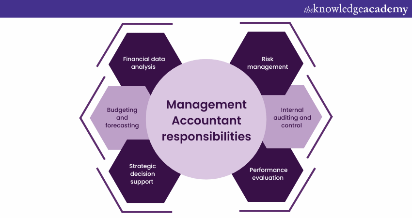 What does a Management Accountant do